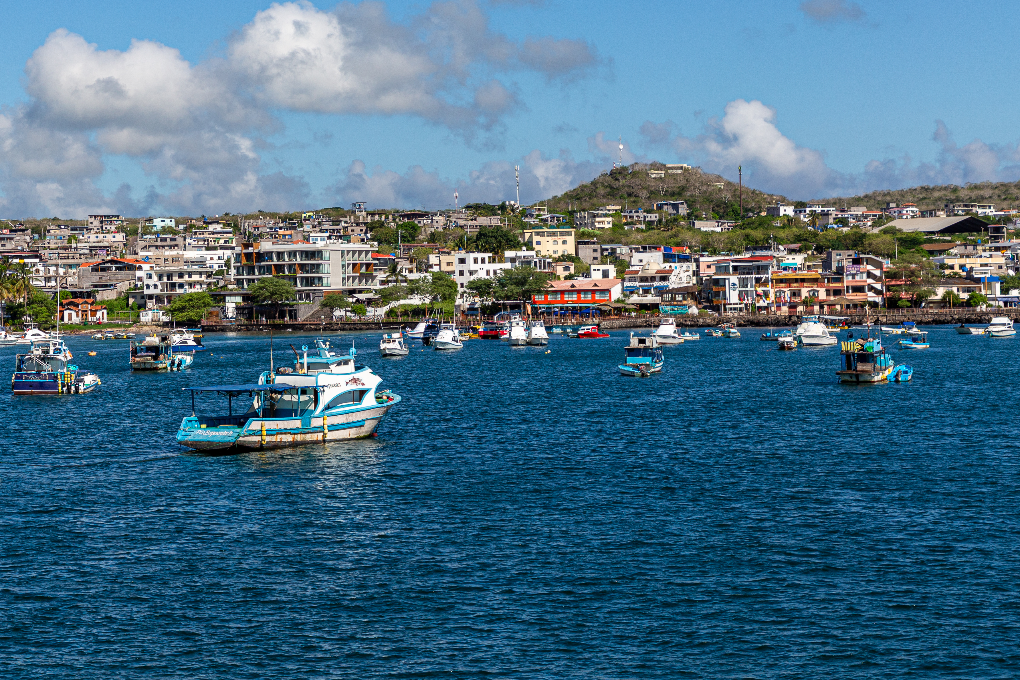 Colorful fishing boats anchored in the blue harbor below the hillside town of Puerto Baquerizo Moreno